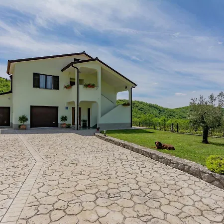 Spacious Apartment In Pazin With Pool Apartment